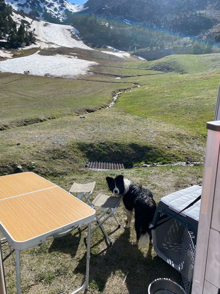 Perro en la montaña, viajando en autocaravana